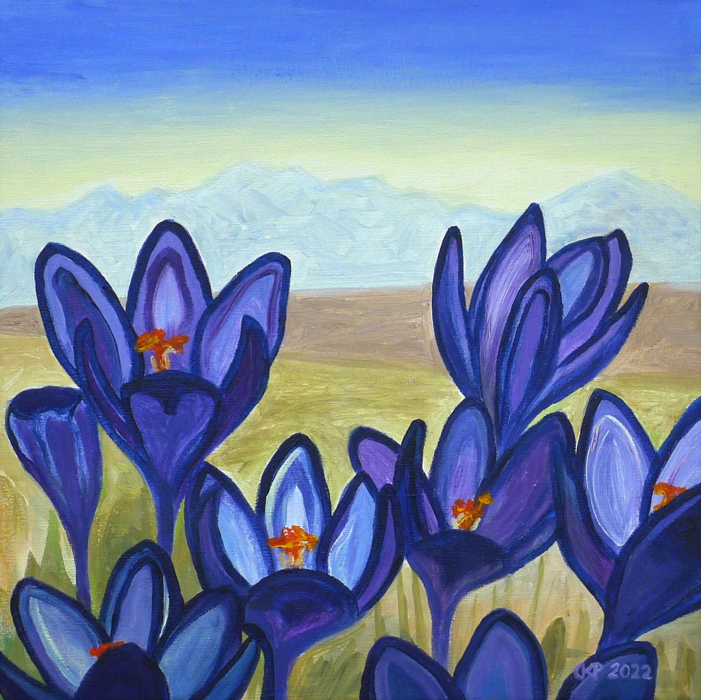 Acrylic painting on canvas titled Tatry Mountains in Crocuses II from 2022, dimensions 40x40 cm, by Danuta Krajewska-Pietrasik.